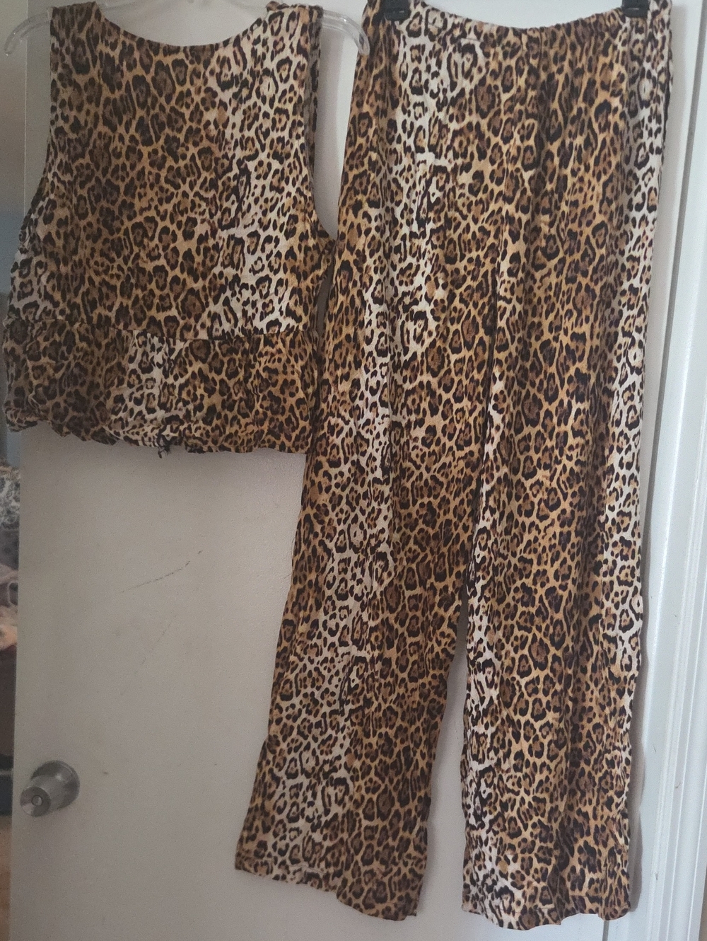Sleeveless Leopard-Print Wide-Leg Set in Brown